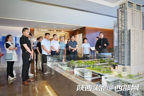 陜西地建 爭(zhēng)當(dāng)土地工程領(lǐng)域科技先鋒，昆明頂播科技助力創(chuàng)新驅(qū)動(dòng)發(fā)展